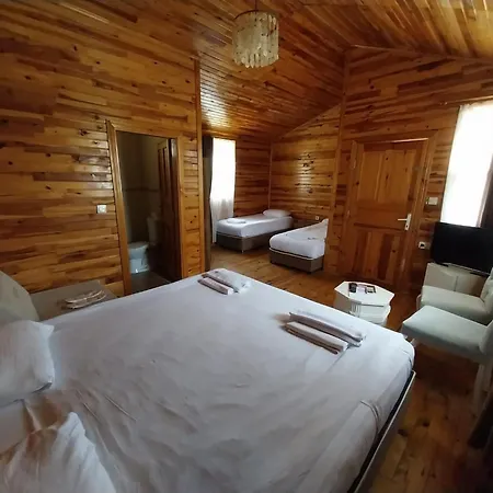 Hotel Elamir 4*