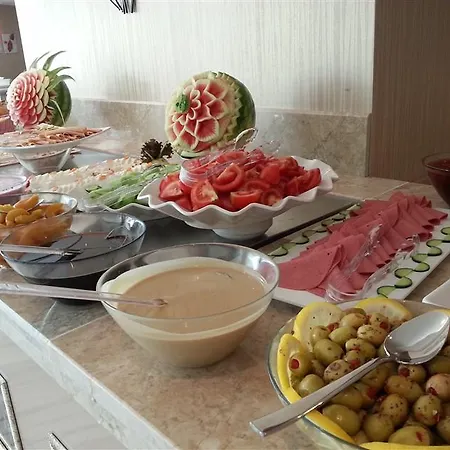 فندق Elamir