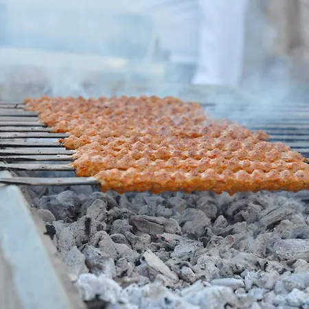 فندق Elamir
